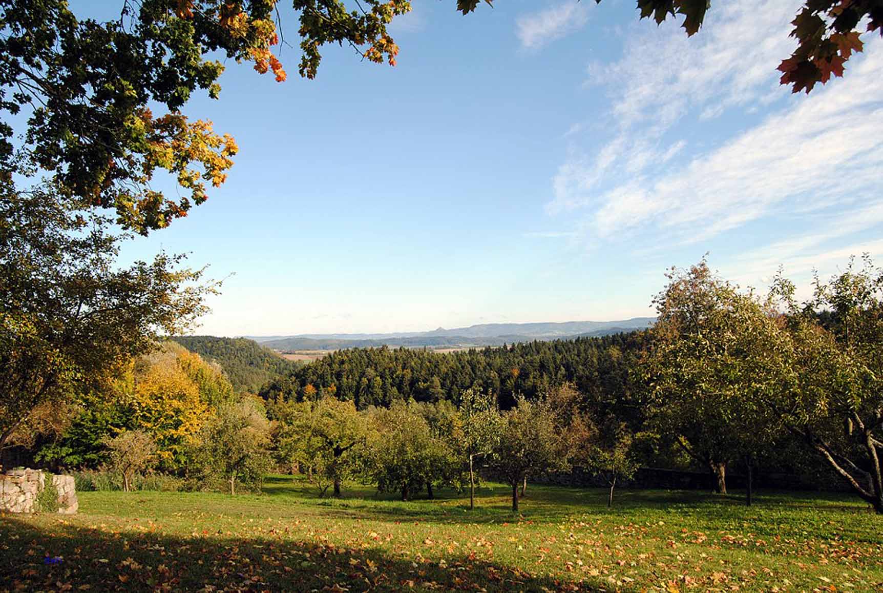 Blick vom Kloster Kirchberg, Foto Weirauch