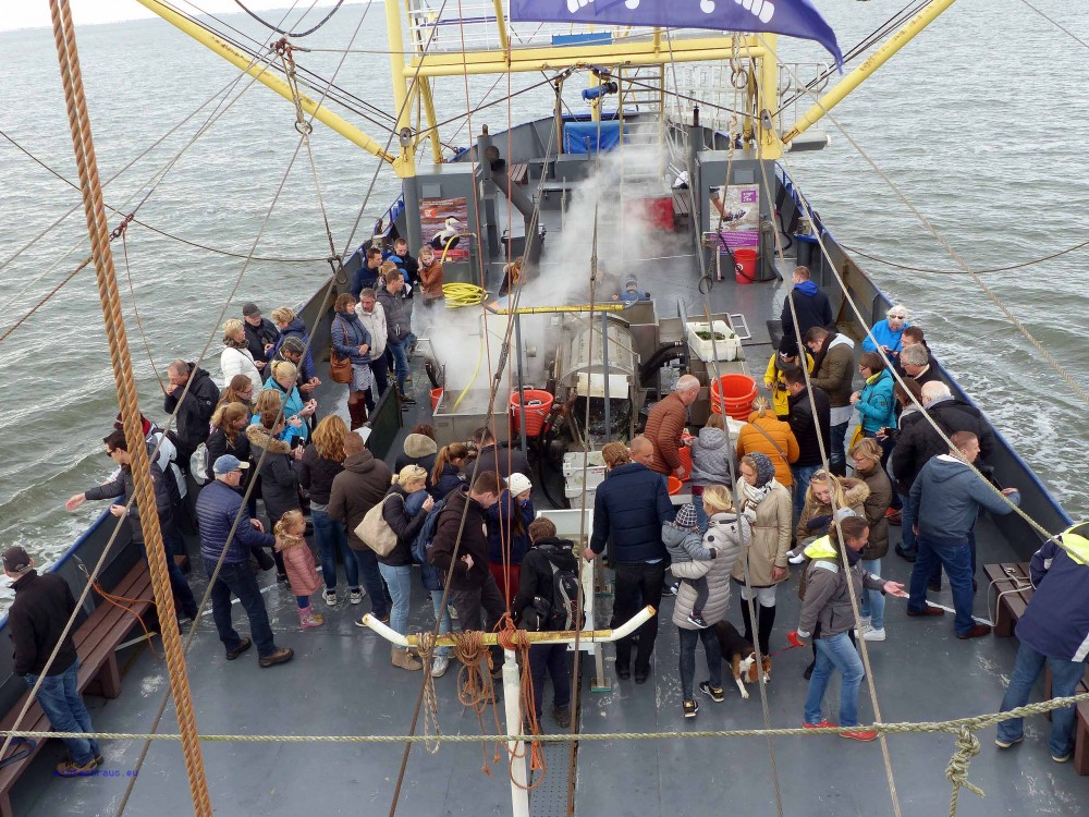 Staunende Zuschauer verfolgen die Arbeit der beiden Seeleute an Bord