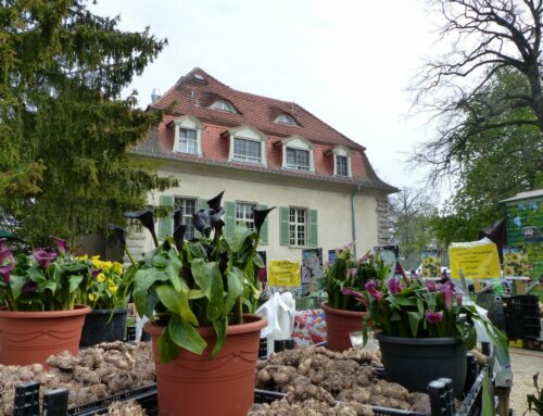 LebensArt im Schlosspark von Schloss Kartzow