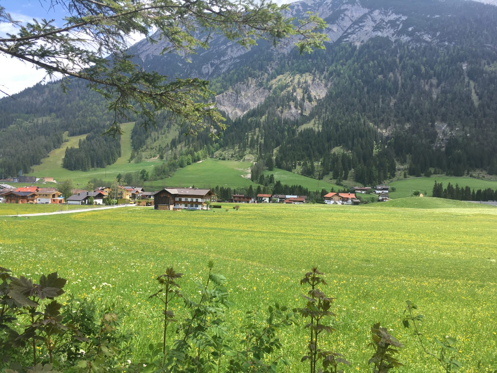 Am Rande von Achenkirch in Tirol, Foto: D.Weirauch