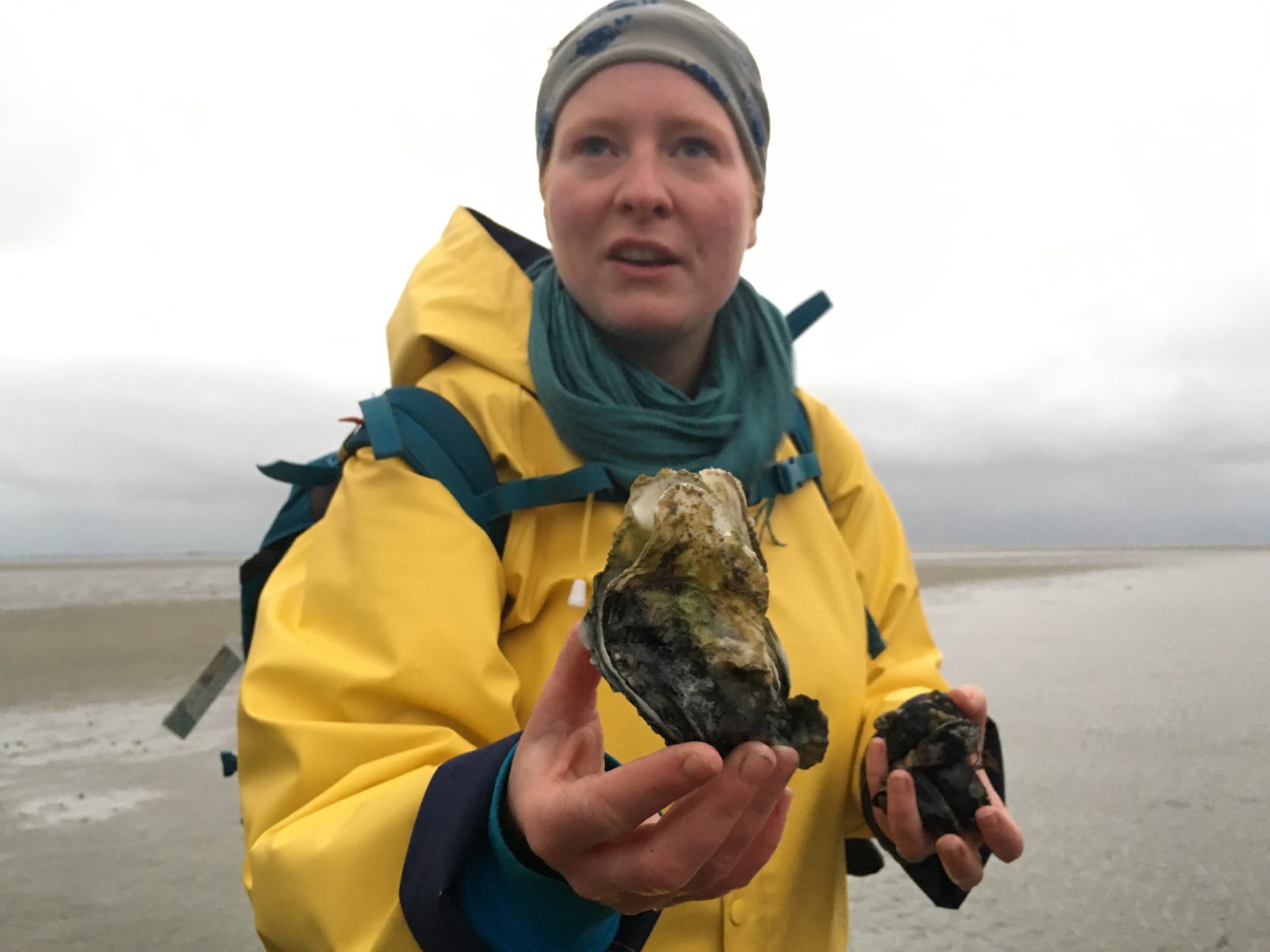 Inga mit den Pazfischen Austern Foto: Weirauch