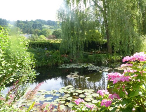 Die Seerosen von Claude Monet