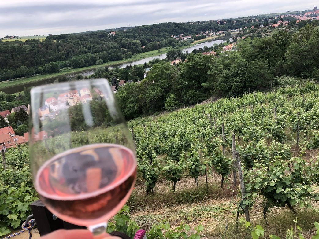 Blick vom Weinberg des Weingut Schuh auf die Elbe