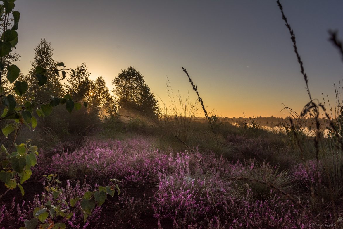 Sonnenuntergang im Emsland ©Internationaler Naturpark Moor-Anja Poker