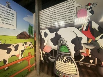 Texel.eis Niederlande holland