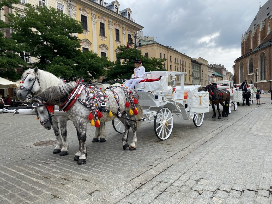 Krakow Polen Pferde Pferdekutsche