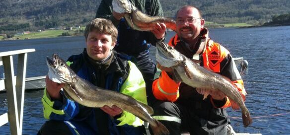 Fische Angeln