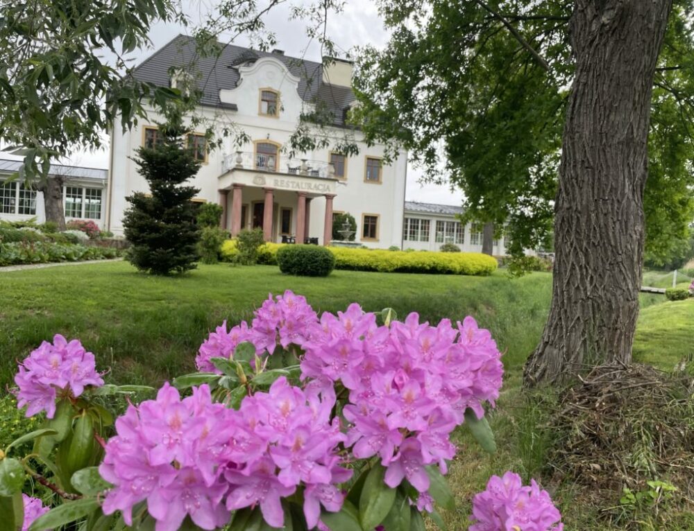 Gartenträume Verwunschene Roseburg im Harz EINFACHRAUS.EU