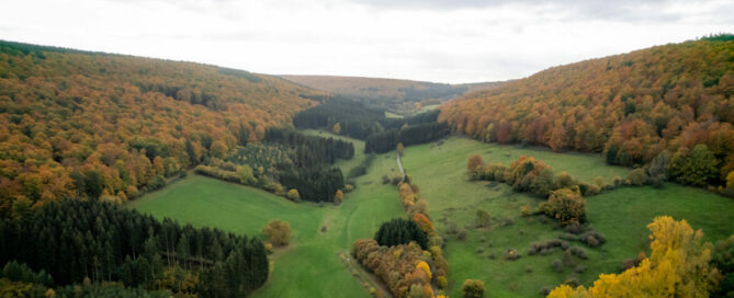 Hellental im Herbst © Solling-Vogler-Region, Körner Paeslack Niedersachsen