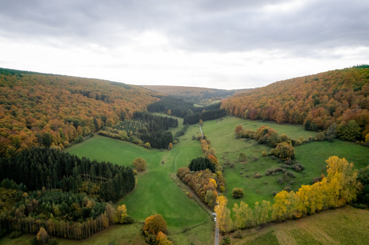 Hellental im Herbst © Solling-Vogler-Region, Körner Paeslack Niedersachsen