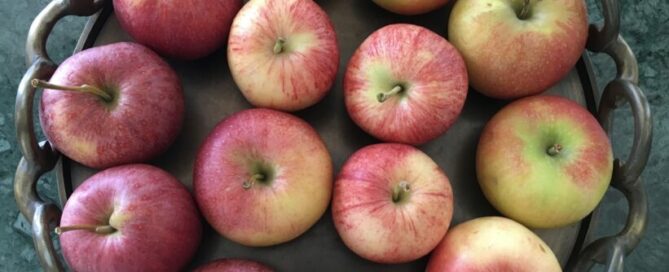 Apfel.Obst
