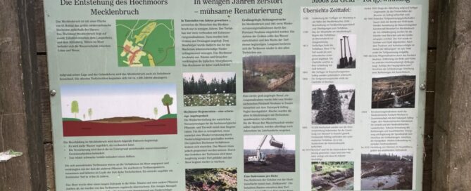 Weserbergland.Niedersachsen.Solling