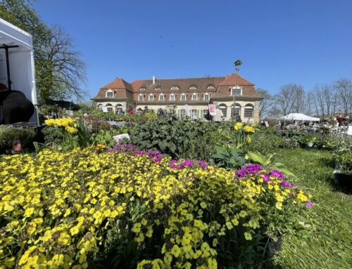 LebensArt im Schlosspark von Schloss Kartzow kehrt in den Frühling zurück