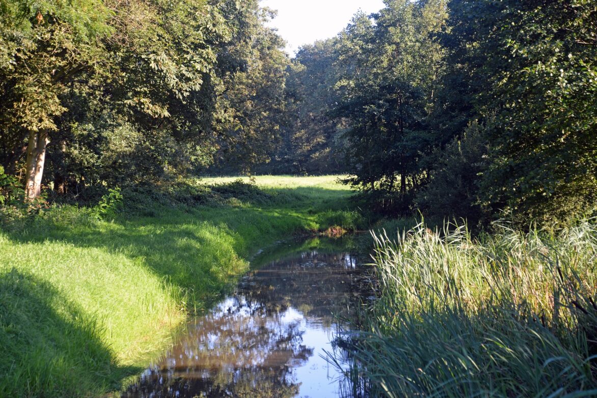 Wiesen, Wälder und Wasserläufe kennzeichnen die Landschaft in Drenthe.