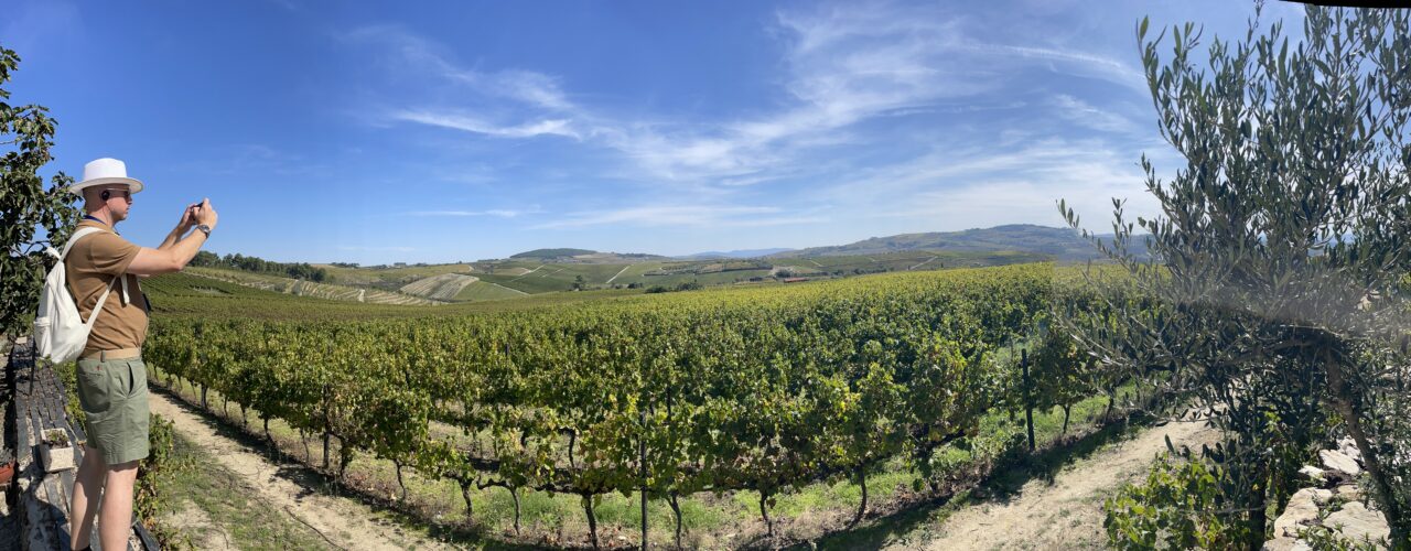 Panorama.Douro nicko cruieses