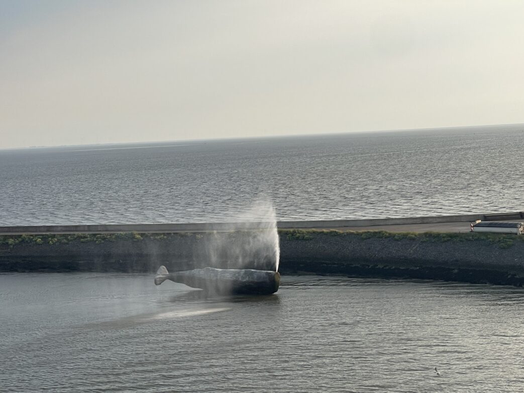 Alle paar Minuten bläst der einem Pottwal nachgebildete nachgebildete Springbrunnen an der “Zuiderpier” des Hafens von Harlingen in Friesland. Der von dem in Puerto Rico lebenden Künstlerpaar Allora & Calzadilla geschaffene "The Whale" ist Teil des Harlinger Skulpturenpfades.
