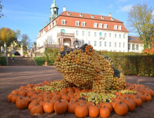 Königliche Kürbiswelt auf Schloss Lichtenwalde