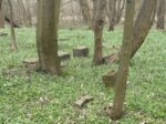 Kolberg Friedhof Henkenhagen Polen