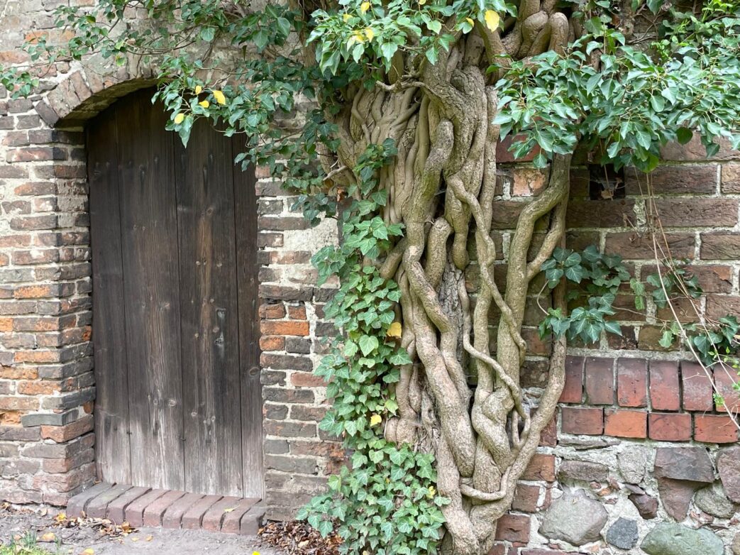 Buckow Havelland Brandenburg