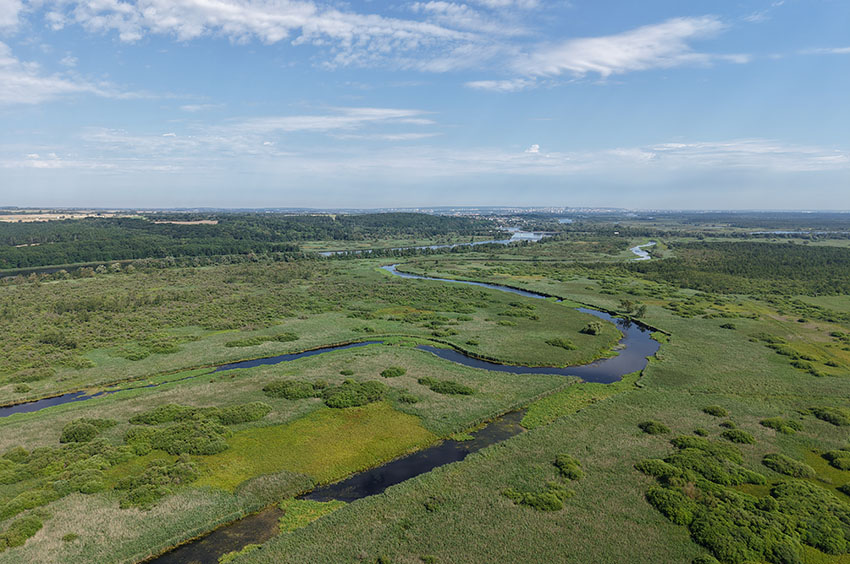 Polen Nationalpark Unteres Odertal