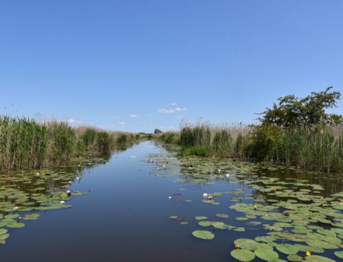 Polens neuester Nationalpark im Odertal reicht bis Stettin