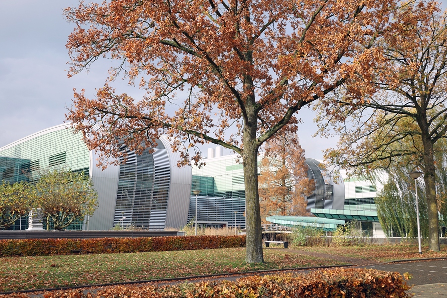 Auch im Herbst ein Blickfang in Nimwegen: das Universitätsgelände.