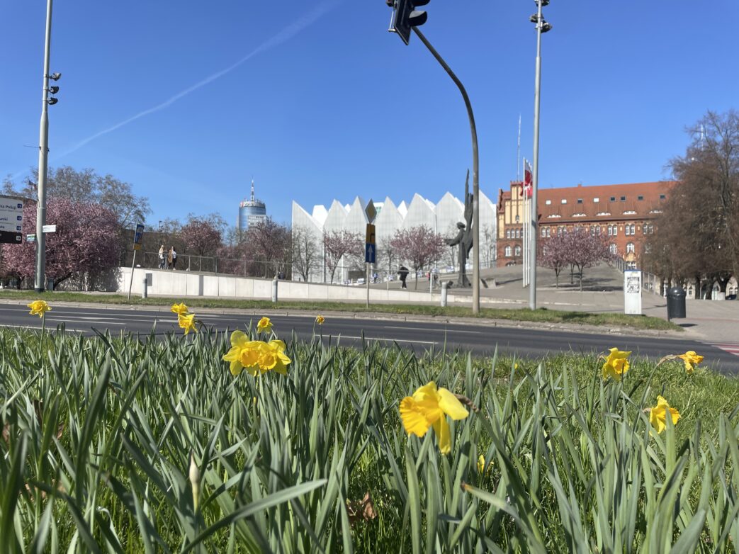 StettinWeirauch PolenStettinWeirauch Philharmonie