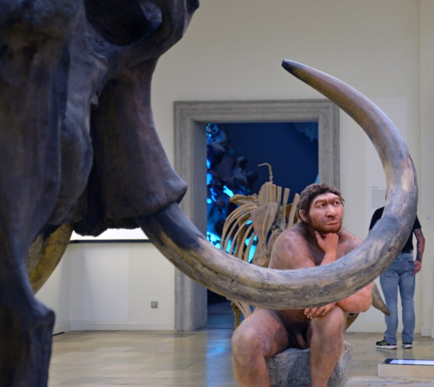 Foto: Jörg Berghoff