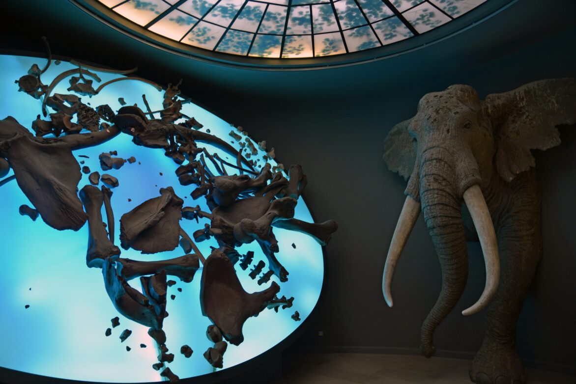 Foto: Jörg Berghoff