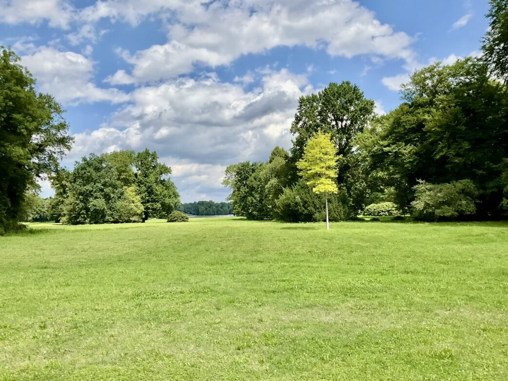 Der Schlosspark Altdöbern in der Niederlausitz gehört zu den eindrucksvollsten historischen Landschaftsparks Brandenburgs. Auf rund 60 Hektar vereinen sich barocke Gartenkunst und ein Landschaftspark des berühmten Gartenarchitekten Eduard Petzold. Doch Trockenheit, Hitzewellen und Starkregen hinterlassen auch hier immer deutlichere Spuren. Der Klimawandel verändert den historischen Baumbestand und stellt die Gartendenkmalpflege vor neue Herausforderungen.