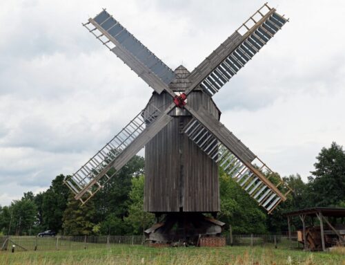 Mühlentour im Naturpark Dübener Heide  